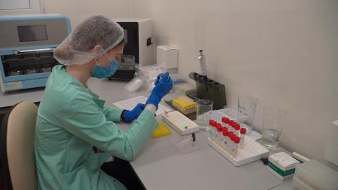 Объем производства белорусской фармпродукции превысит 3 млрд рублей по итогам 2026 года