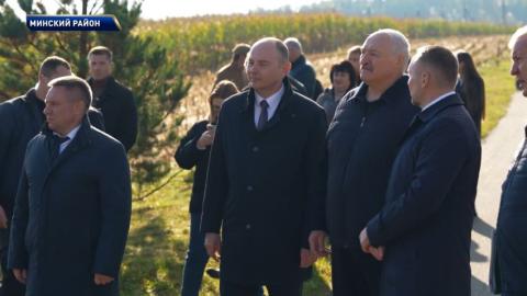 Сельское хозяйство и международня повестка: Лукашенко с рабочей поездкой посетил Минский район