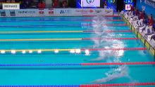 Чемпионат Европы по водным видам спорта – 2026