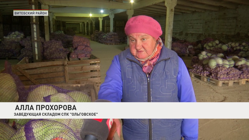 капуста-4 10.10.2023.jpg