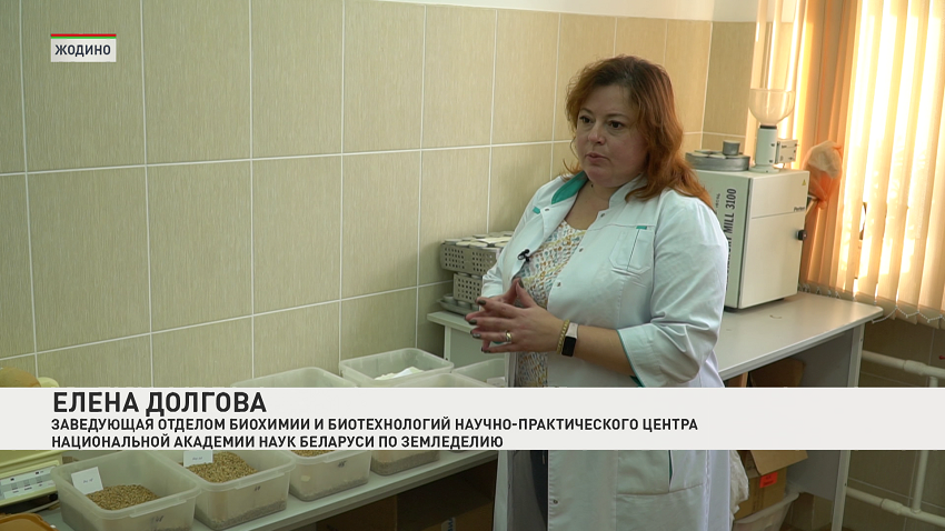 семена 07.11 1.png