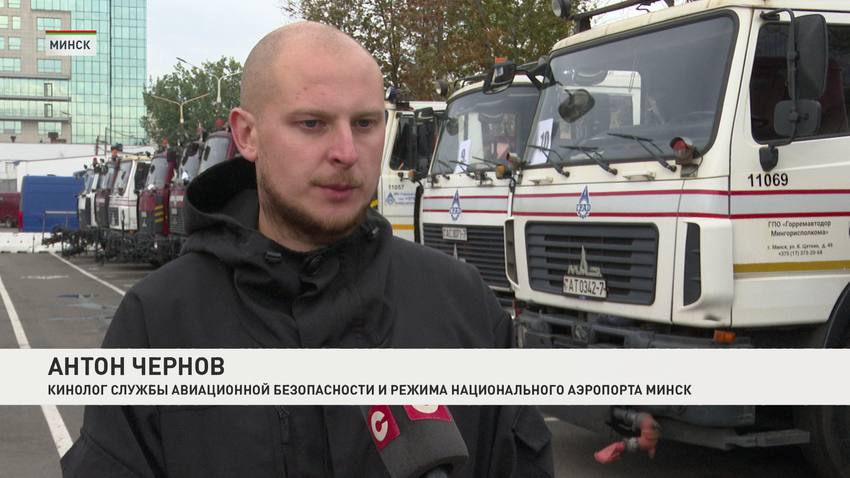 собака 2.png