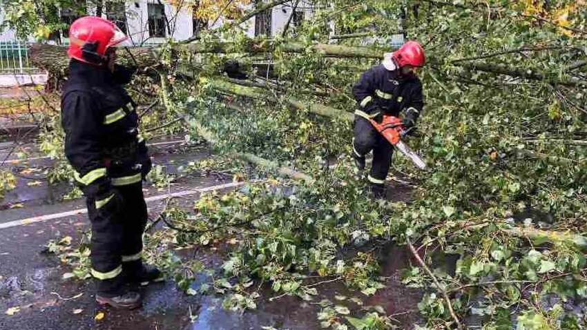 Непогода в Беларуси_09.10 (2).jpg