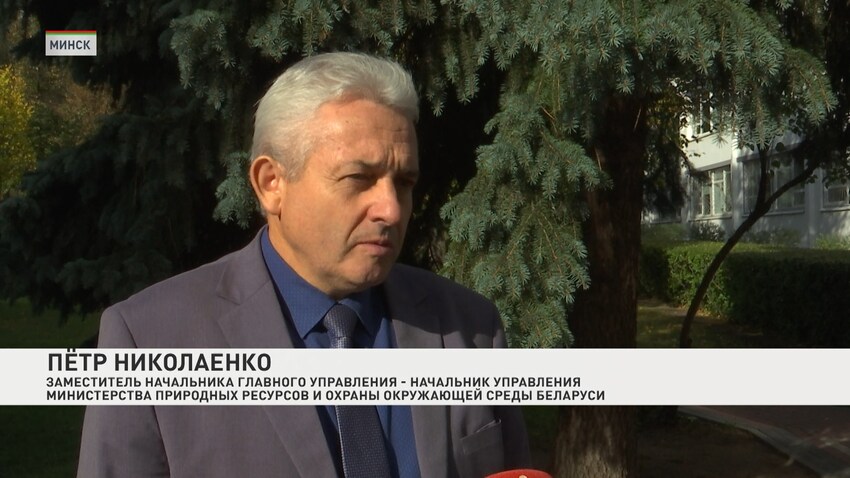 Озеленение_вечер_10.10 (2).jpg