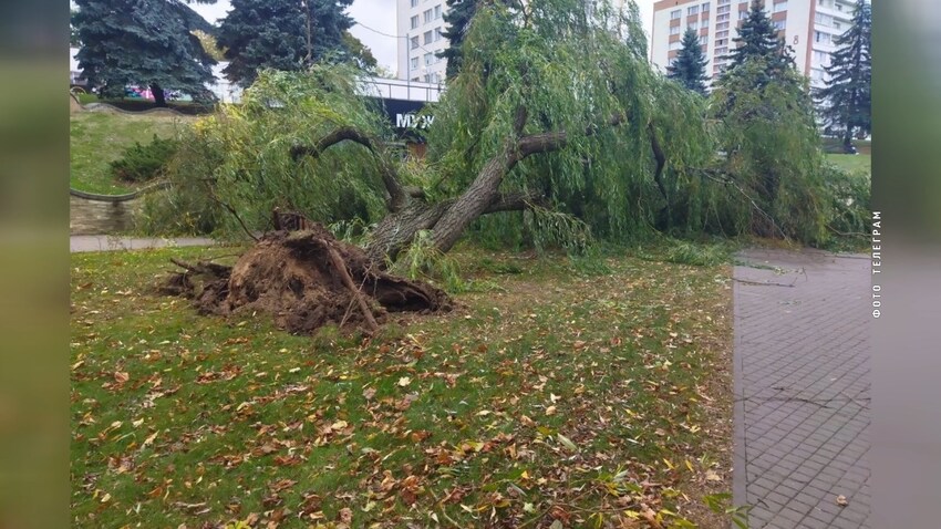 Непогода_утро_12.10 (1).jpg